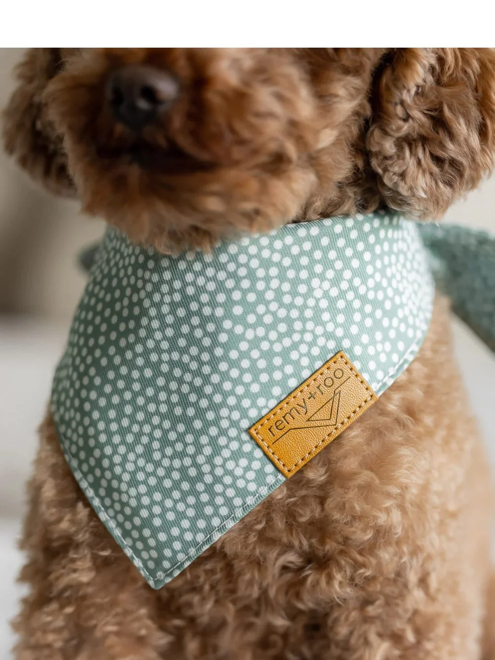 Remy + Roo SMALL Dog Bandana